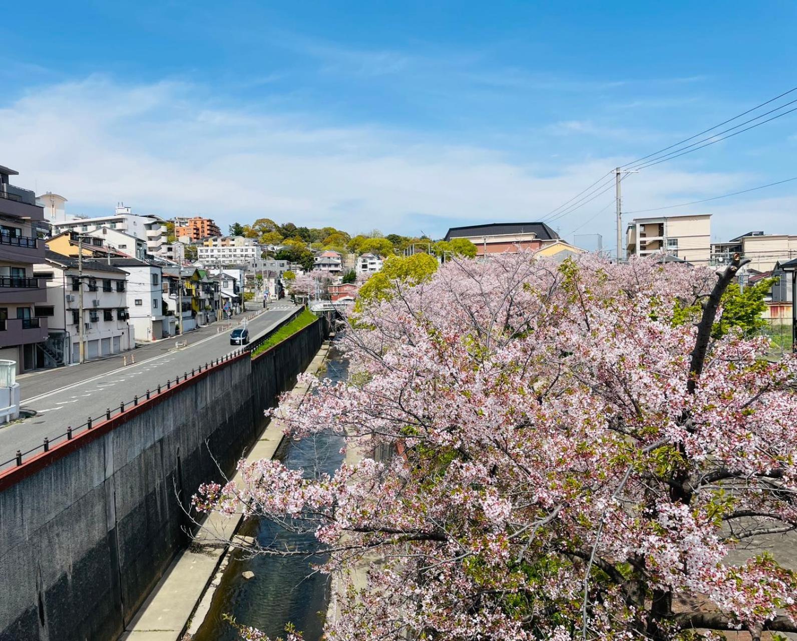 Kobe Coffee Hostel Dış mekan fotoğraf