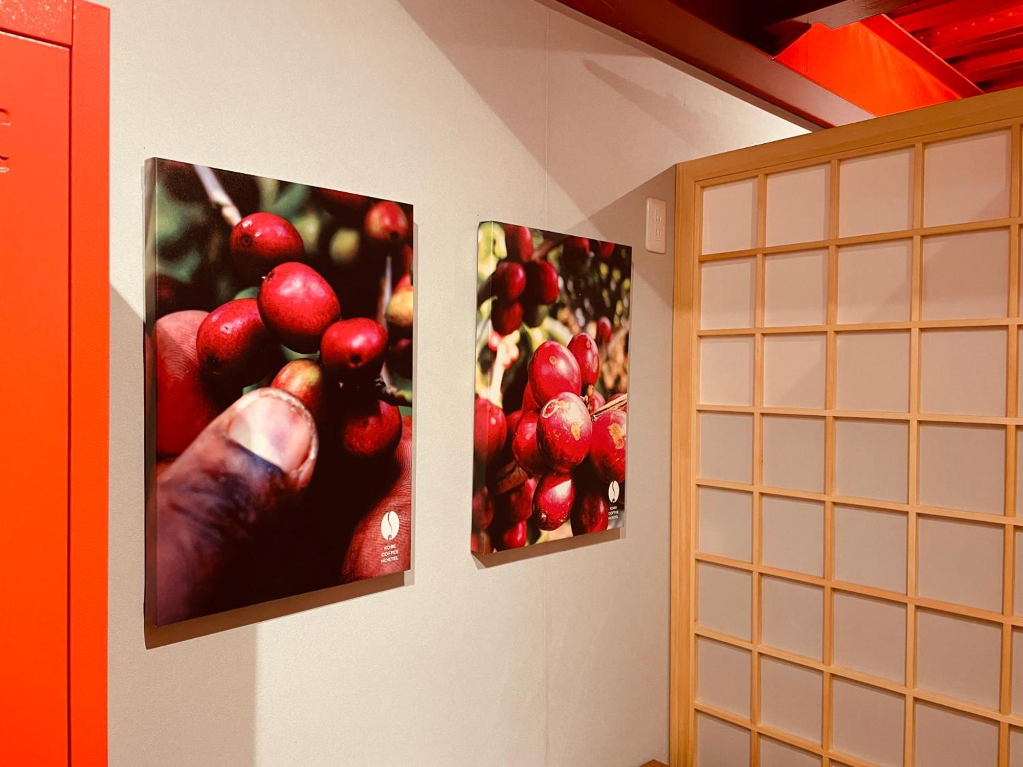 Kobe Coffee Hostel Dış mekan fotoğraf